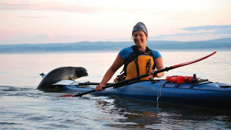 Kayak de mer avec les phoques à Gaspé