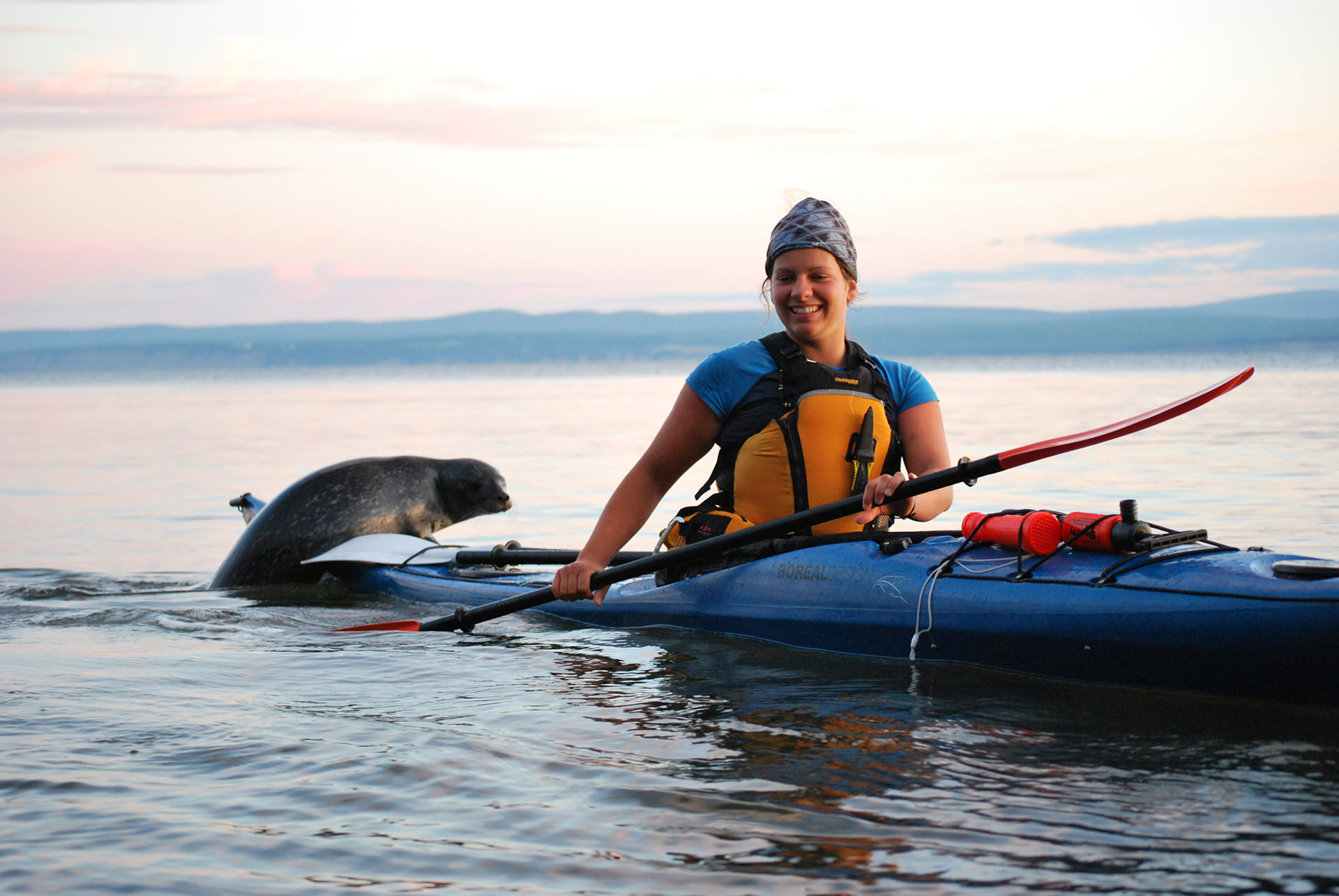 Kayak de mer avec les phoques à Gaspé