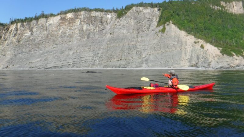 Kayak de mer dans le parc Forillon de Gaspé
