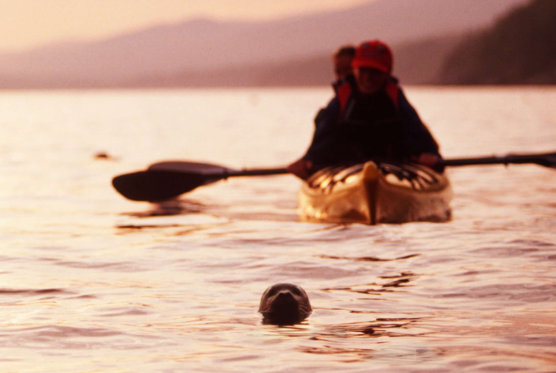 Kayak de mer au coucher du soleil à Cap aux Os